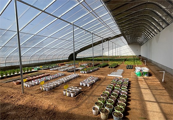 快活林實(shí)驗(yàn)田 (3)