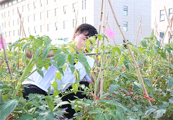 快活林實驗田 (4)