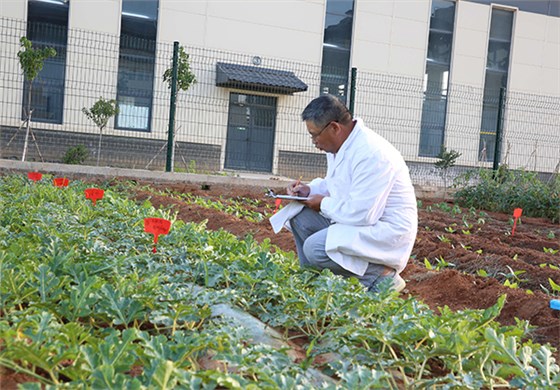 快活林實驗田 (5)