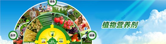 品牌優(yōu)勢(shì)