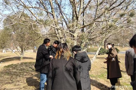 2022年3月河北邯鄲公園養(yǎng)護(hù)項(xiàng)目-1