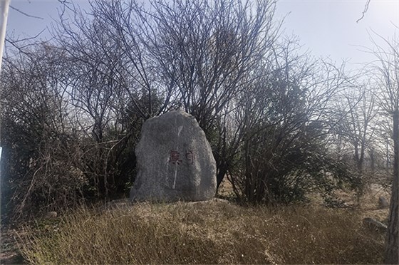 20230308河南一電力公司苗圃指導(dǎo)-2