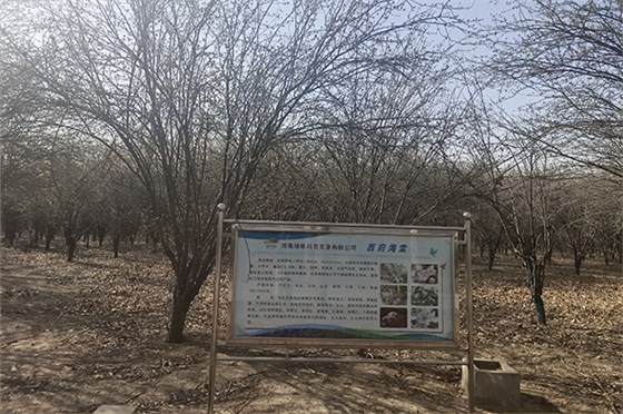 20230308河南一電力公司苗圃指導(dǎo)-4