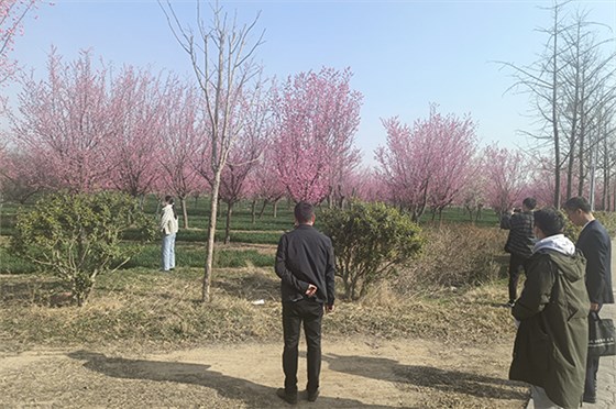 20230308河南一電力公司苗圃指導(dǎo)-11