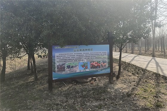 20230308河南一電力公司苗圃指導(dǎo)-13