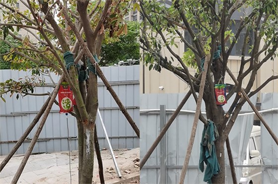 吊針液對(duì)比2