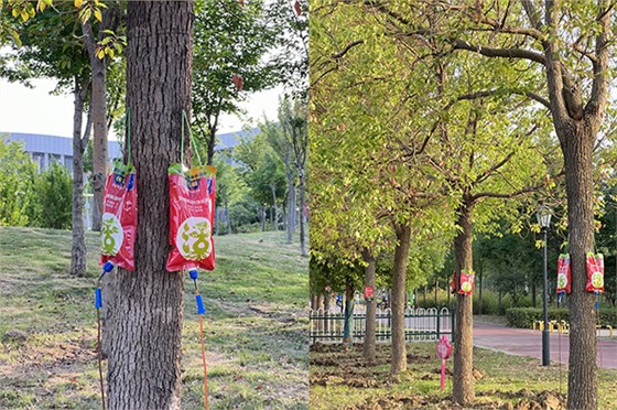 吊針液公園復(fù)壯2