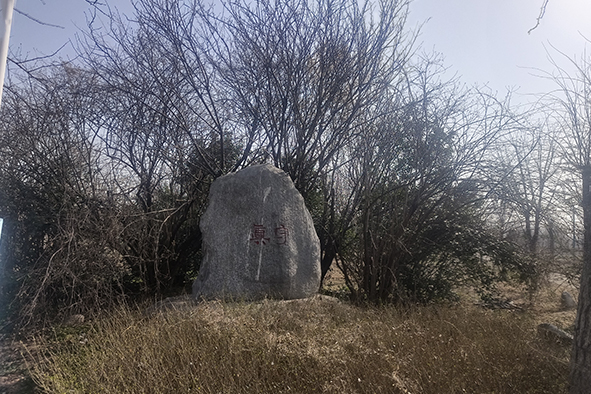 20230308河南一電力公司苗圃指導(dǎo)-2