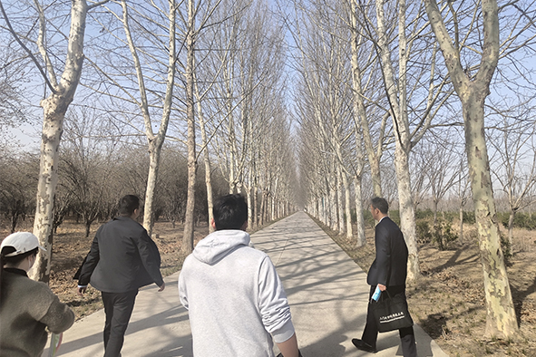 20230308河南一電力公司苗圃指導(dǎo)-5