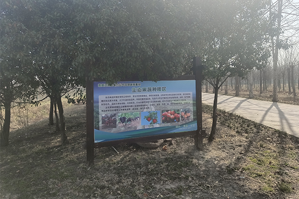 20230308河南一電力公司苗圃指導(dǎo)-13