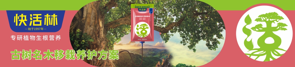 快活林古樹名木移栽養(yǎng)護(hù)方案