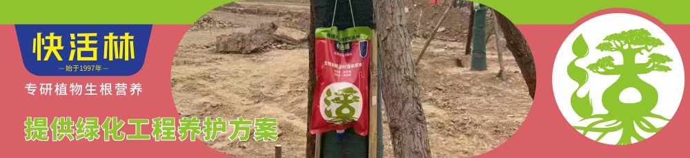 從“根”上控制成本