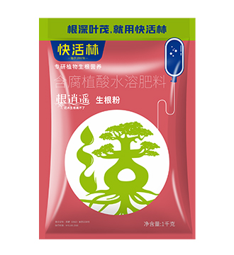 根逍遙1千克詳情圖