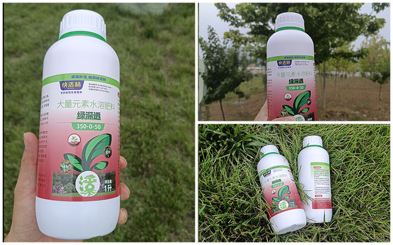 綠深透案例見證