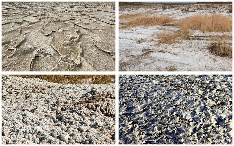 克堿機(jī)密案例見證